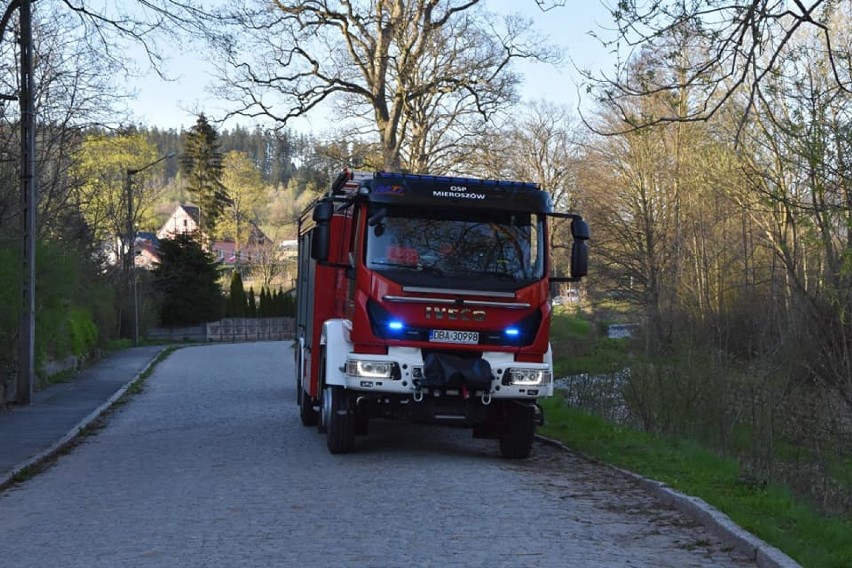 Strażacy z Mieroszowa uratowali sarnę, która utknęła w rzece