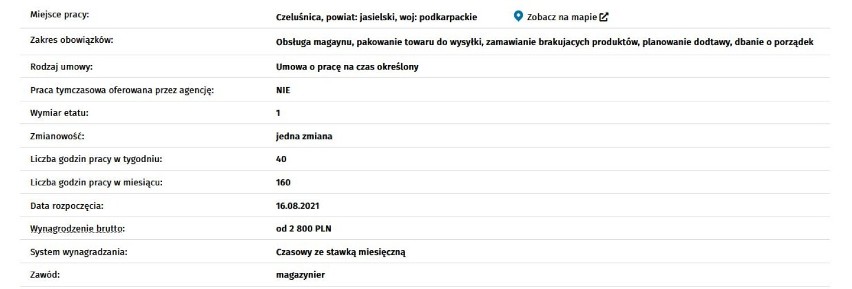 Aktualne oferty pracy w Jaśle i okolicy. Pracodawcy płacą nawet 7000 zł. Zobacz, kogo poszukują [SIERPIEŃ]