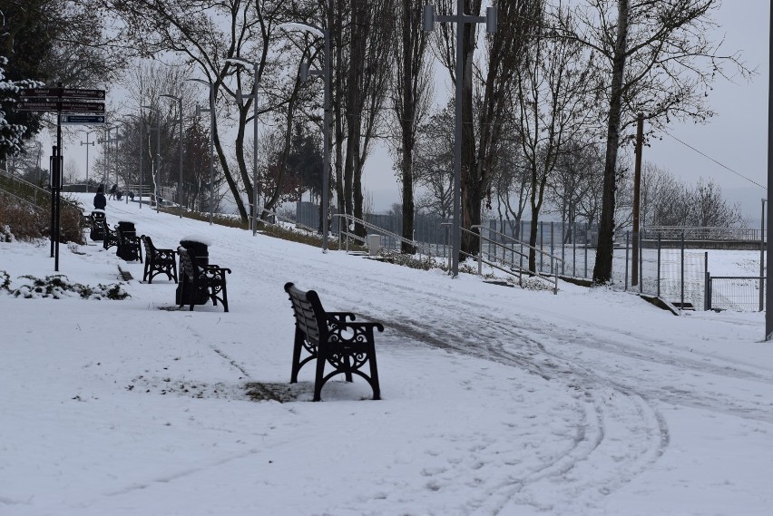 Park Tysiąclecia w Krośnie Odrzańskim w zimowej oprawie.