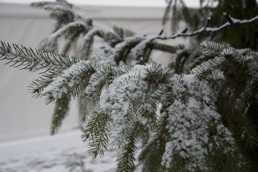 W Chodzieży zrobiło się biało. Jak się Wam podoba oprószone śniegiem miasto? (FOTO)