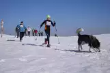 W Soblówce biegali na... rakietach śnieżnych