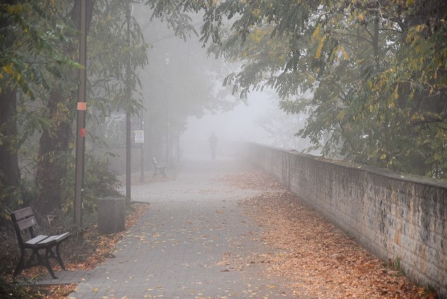 W czwartkowy poranek Opole było zatopione w gęstej mgle. Za tą sprawą miasto zyskało oniryczny klimat, a dobrze znane miejsca ukazują odmienne oblicze.

Do tego dochodzi szadź, która pokrywa liście drzew oraz zmroziła pajęczyny. Zupełnie, jakby ktoś postanowił przysypać wszystko anielskim włosiem.