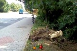 Gliwice: Wypadek na Przyszowskiej w Łabędach, trzy osoby zginęły w hyundaiu pony [WIDEO]