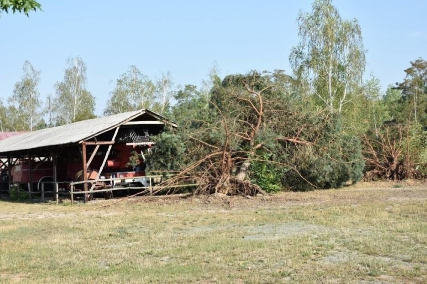 Zebrano prawie 1,1 tys. zł na rzecz ratowania skansenu pod Łowiczem [ZDJĘCIA]