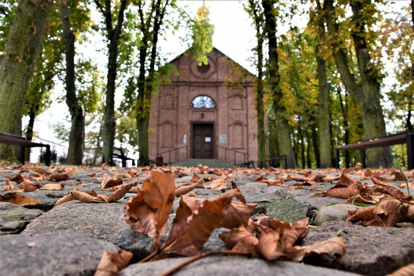 Złota polska jesień w Ogrodzie Zmysłów w Poddębicach. Jest pięknie. Zobacz ZDJĘCIA