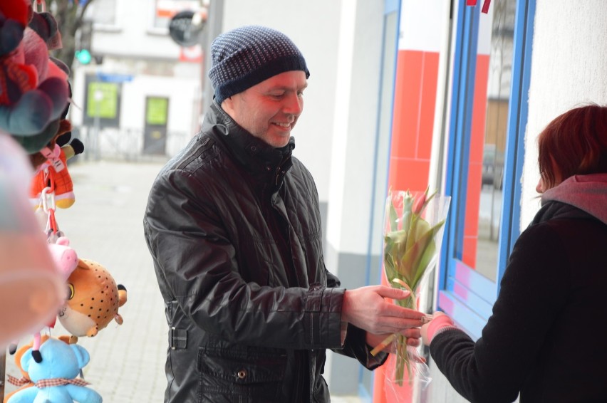 Barwne tulipany cieszyły się dużym zainteresowaniem ze...