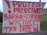 Protest przeciwko barbarzyńskiej wycince drzew