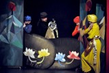 Premiera spektaklu "Opowiadanie króla Wysp Hebanowych" w Teatrze Lalki Tęcza w Słupsku [FOTO]