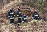 Przerwany wał przeciwpowodziowy w Bydgoszczy. Trwa akcja strażaków [12.12.2018]