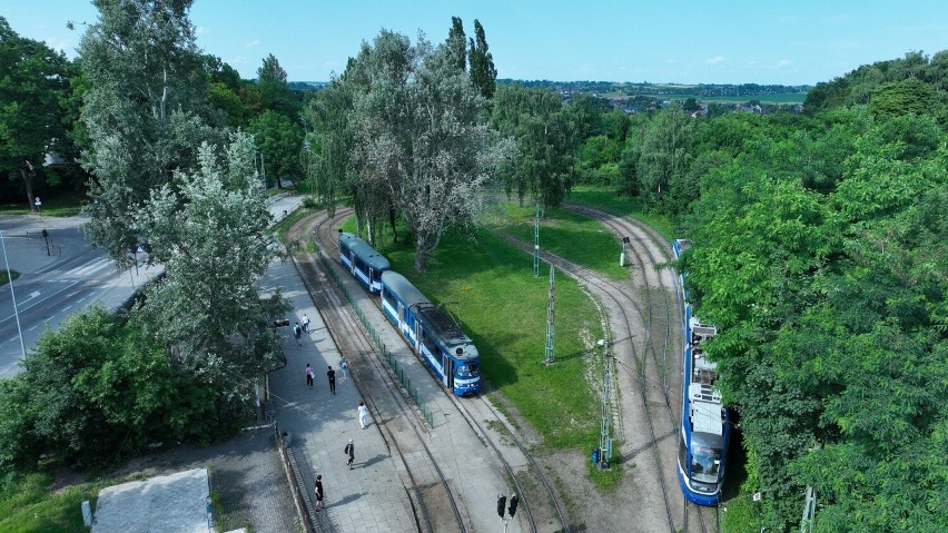 Kraków. Prawie 85 procent drzew zostanie wyciętych pod rozbudowę pętli tramwajowej Wzgórza Krzesławickie. Apel o korektę w projekcie