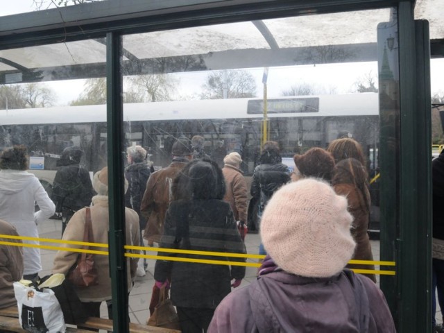 W okresie Wszystkich Świętych zmienia się rozkład jazdy autobusów i tramwajów w Toruniu