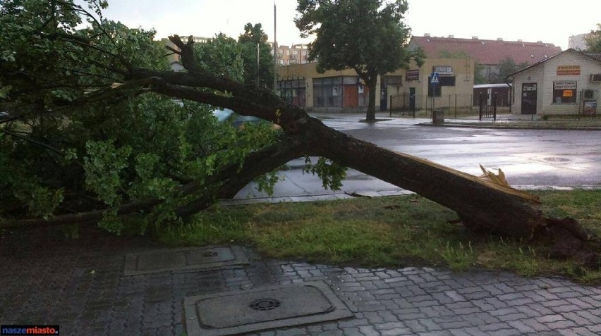 Burza nad Włocławkiem. Silny wiatr przewrócił drzewo na skrzyżowaniu ul. Kaliska i Dziewińska