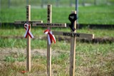 50 drewnianych krzyży przy polsko-ukraińskim przejściu granicznym w Medyce. Przypominają o Zbrodni Wołyńskiej [ZDJĘCIA, WIDEO]