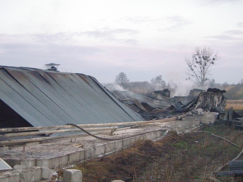 Witowice: Pożar na fermie drobiu