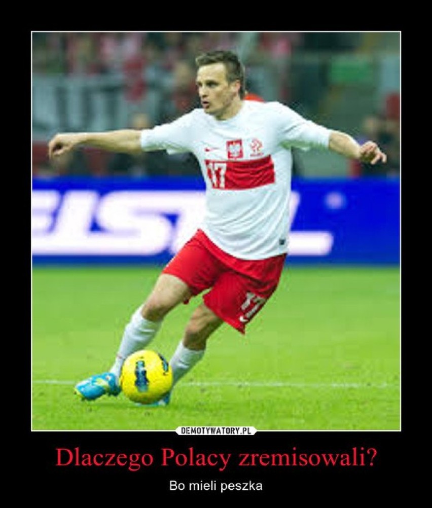 Irlandia - Polska: Memy po meczu