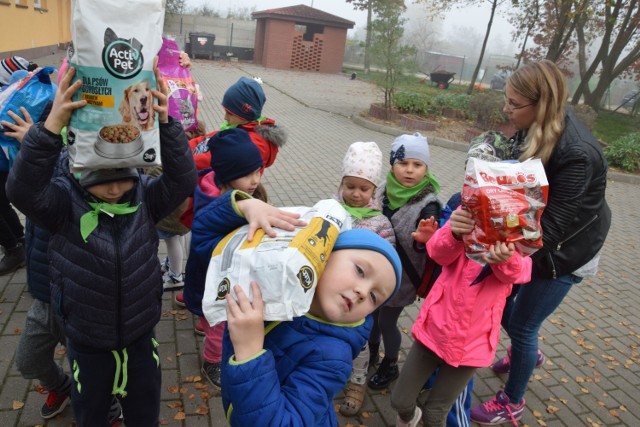 Przedszkolaki z karmą w schronisku