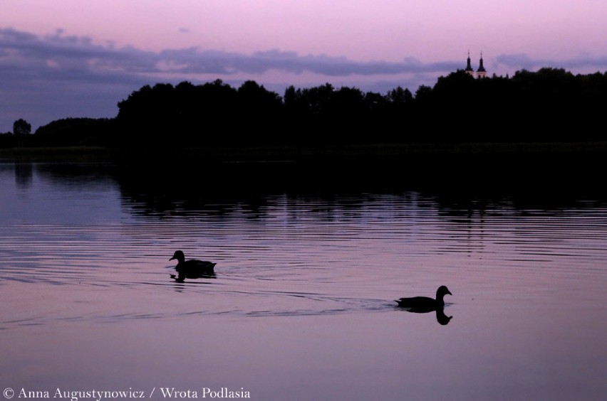 Wigierski Park Narodowy walczy o tytuł w konkursie...