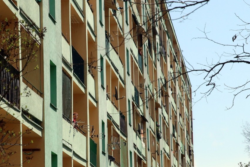 Spacer po zielonych zakątkach LSM. Pogoda zachęca do spacerów! Zobacz zdjęcia