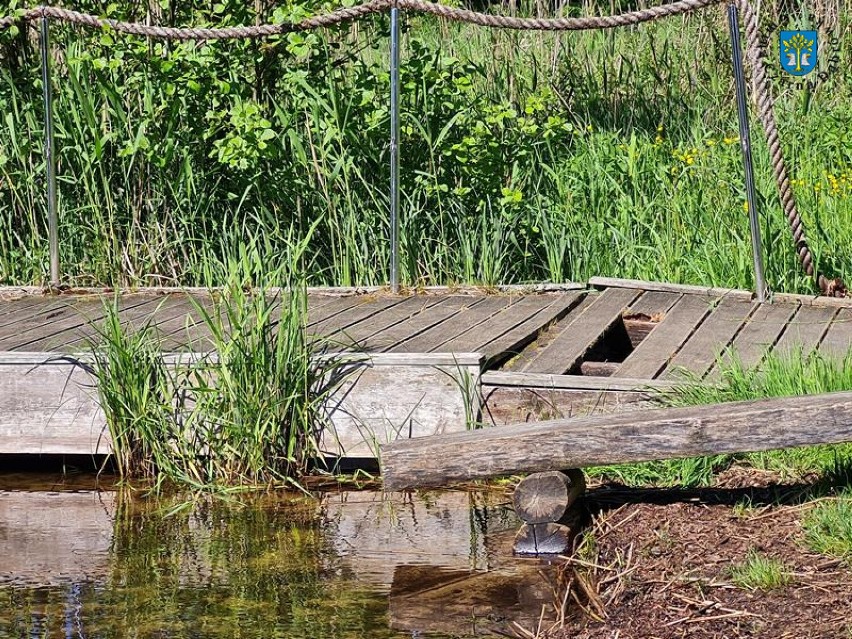 Nowy pokład pomostu nad jeziorem w Mikorowie. Już pod nikim nie zarwie się deska