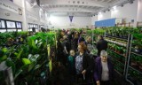 Dużo pięknych kwiatów na rzeszowskim festiwalu roślin - Roślinny Market 2022 [ZDJĘCIA]