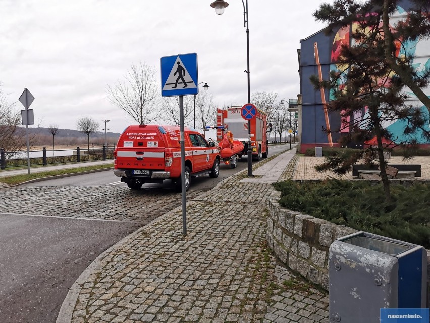 Pies w Wiśle we Włocławku. Akcja ratunkowa straży pożarnej, WOPR i schroniska dla zwierząt [zdjęcia]