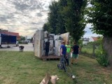 Boruja Kościelna: Zbiórka złomu organizowana przez OSP w Borui Kościelnej