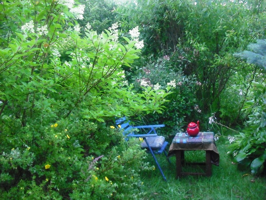 Ogrodowy "salonik".foto: Ewa Łazowska