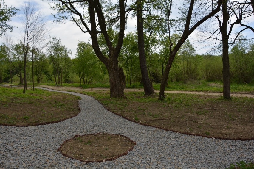 Zabytkowy park dworski w Markowcach pięknieje w oczach [ZDJĘCIA]