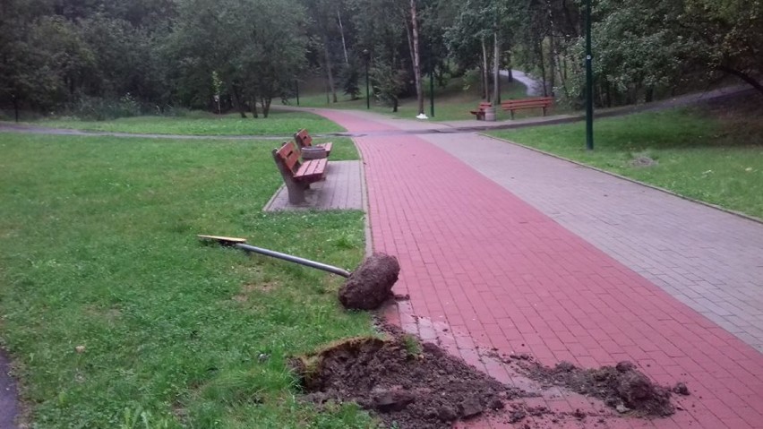 Wandale niszczyli klosze na terenie parku rozrywki