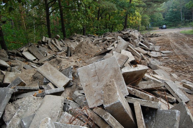 W lesie leżą płyty po demontażu chodnika.