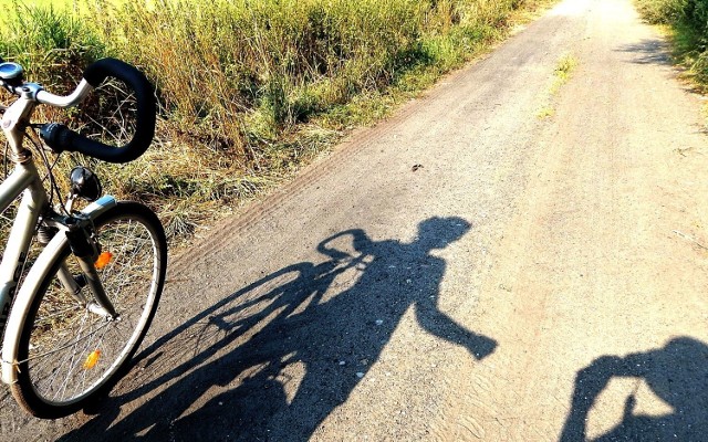 DŁUGOŚĆ: ponad 25km (w jedną stronę)
START: Gorzów
META: Wzdłuż Warty w kierunku Nowin Wielkich
Najbliższe większe miasto: Nowiny Wielkie, Witnica
TRUDNOŚĆ: Szlak zdecydowanie dostosowany do lekkich wypraw rowerowych. Trasa jest przyjemna i śmiało można wyruszyć na nią całą rodziną.

Z Gorzowa kierujemy się na Kostrzyn. Mijamy po drodze Łupowo, Jenin, Bogdaniec, Motylewo. Kierunek: wzdłuż Warty w okolice Nowin Wielkich.

Bez prerii, kowbojów i Indian, ale z pięknymi widokami, dziką przyrodą i ludźmi z fantazją. Taka jest nasza Nowa Ameryka. Nie trzeba do niej płynąć jak przed wiekami Kolumb na statku albo jeszcze jakieś 100 lat temu niejeden nasz pradziadek. Nasza Nowa Ameryka jest całkiem blisko Gorzowa, jeszcze bliżej Witnicy w powiecie gorzowskim, Krzeszyc i Słońska w powiecie sulęcińskim.