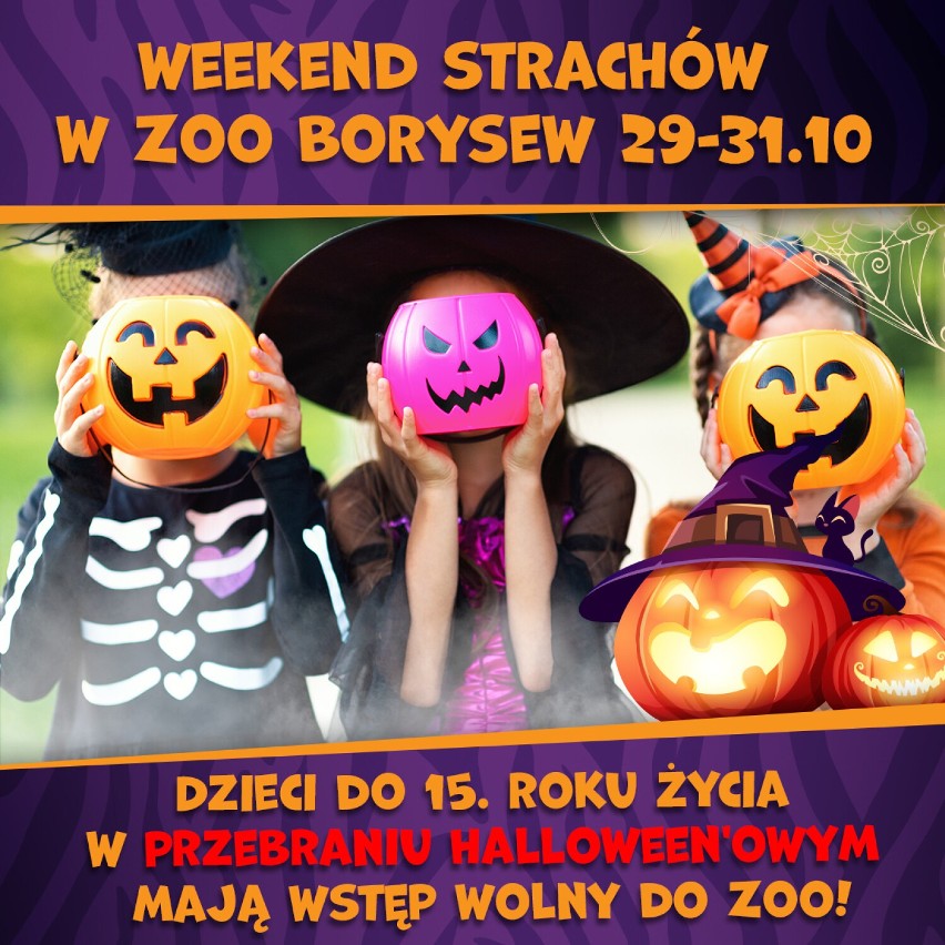 Halloween w Zoo Borysew. Darmowe wejście dla dzieci w wieku do 15 lat w przebraniu, wiele atrakcji FOTO