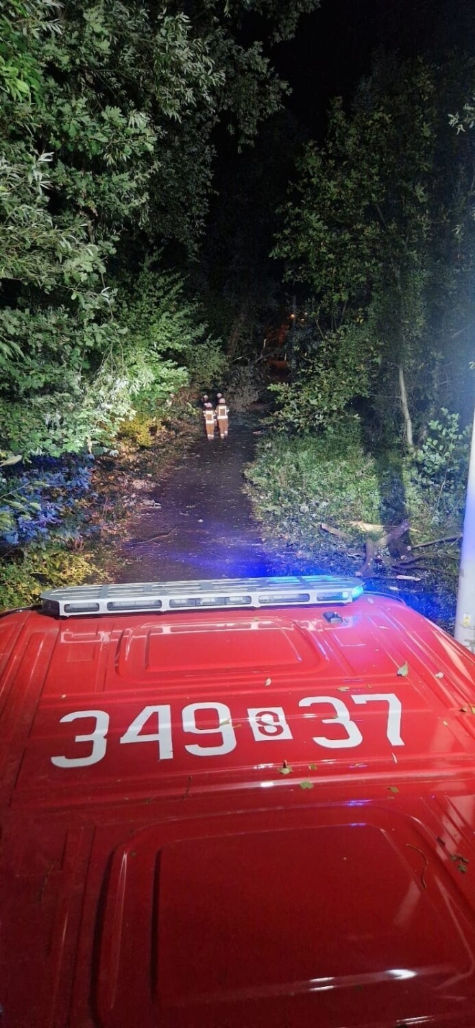 Strażacy OSP Straconka w Bielsku-Białej usuwali drzewo,...