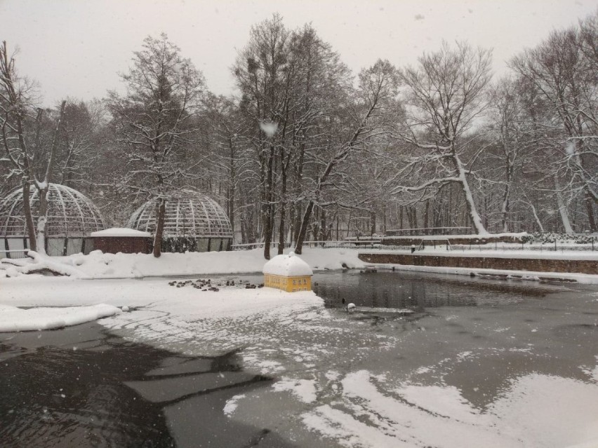 Park Miejski im. A. Majkowskiego w Wejherowie w zimowej scenerii 