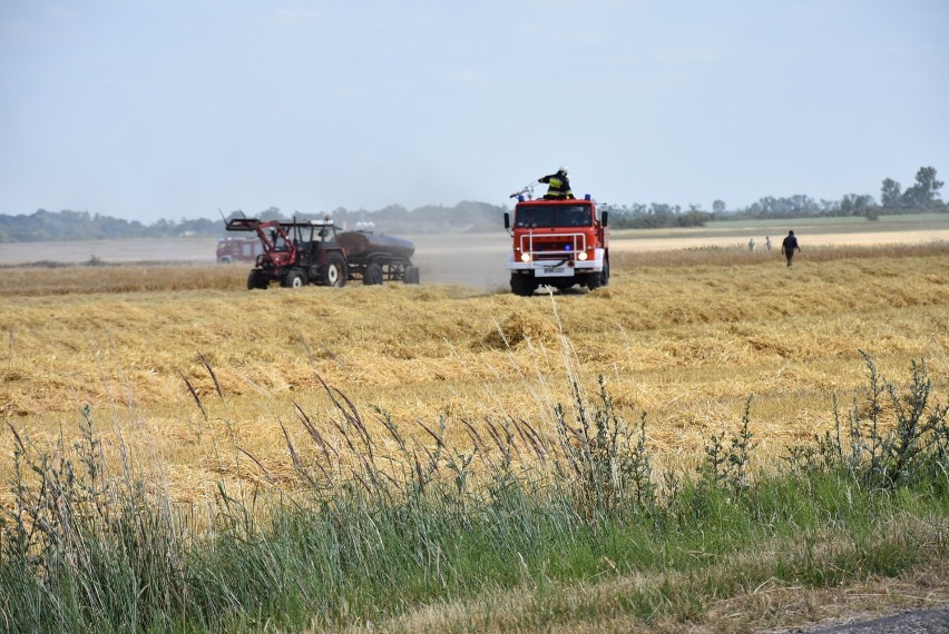 Na polu wybuchł pożar. Interweniowali strażacy z Wrześni i Gniezna [FOTO]