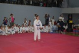 W Śremie: sobota z taekwondo.Trwa Finał XIX Ligi Taekwondo Wesołek 