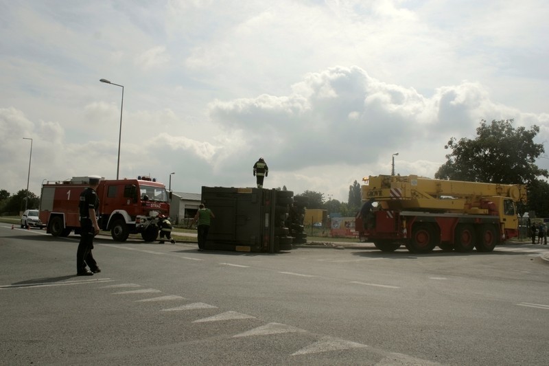 Inowrocław. Wypadek ciężarówki z bydłem i trzodą chlewną