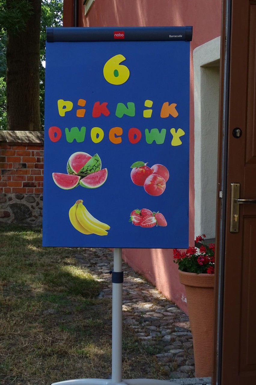 6 Owocowy Piknik