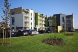 Budowa nowych mieszkań w formule TBS w Piotrkowie stanęła. Jakie spółka ma plany?
