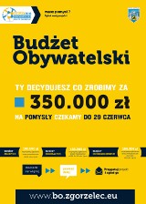 Trwa nabór wniosków do III edycji Budżetu Obywatelskiego Zgorzelca. Wnioski można składać do 29 czerwca!