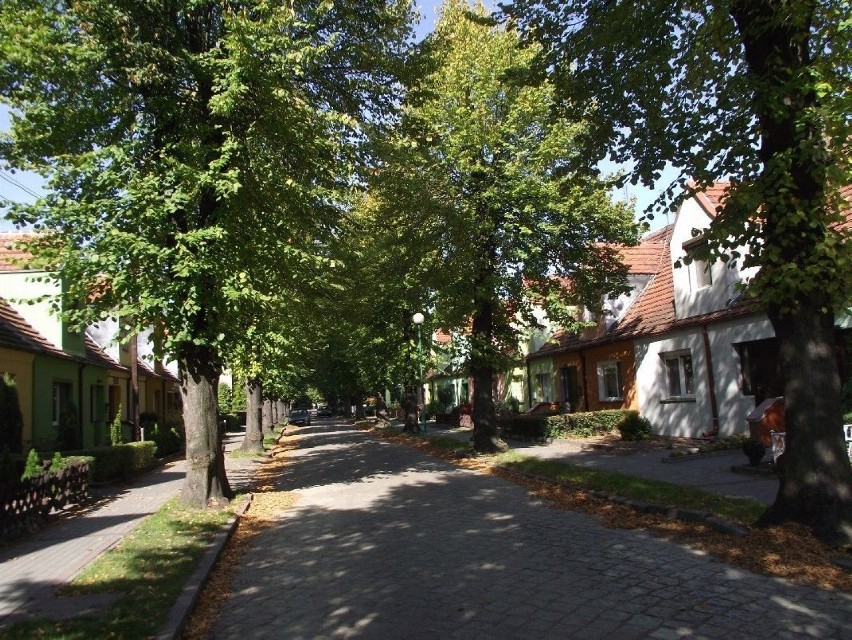 Widok na ulicę 22 Lipca.Fot. Dorota Michalczak