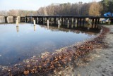 Liście przy brzegu jeziora Glibiel, pustki na plaży. Jak wygląda życie kąpieliska w Łochowicach po sezonie? 