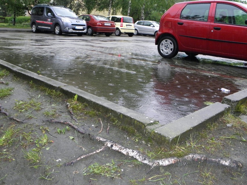 Ulewy w Żorach. Jak wygląda nasze miasto? [ZDJĘCIA]