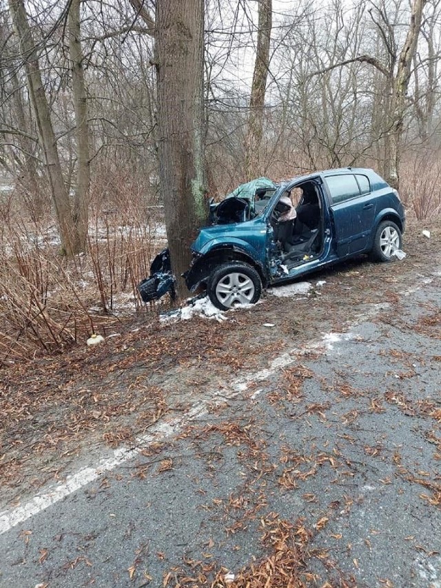 Niestety, mimo reakcji strażnika z Jastrzębia, wypadek okazał się śmiertelny.