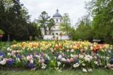 Warszawa zmieni się wiosną w bajecznie kolorowy ogród. W miejskiej przestrzeni zakwitnie ponad 5 milionów kwiatów 