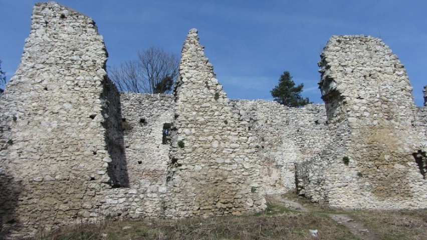 Zamek w Bydlinie to średniowieczne ruiny. Podobno budowla...