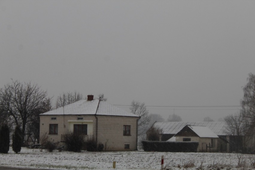 Śnieg w Zamościu i okolicach. Za oknami zrobiło się biało. Czy to oznaki "Bestii ze wschodu"? Zobacz zdjęcia