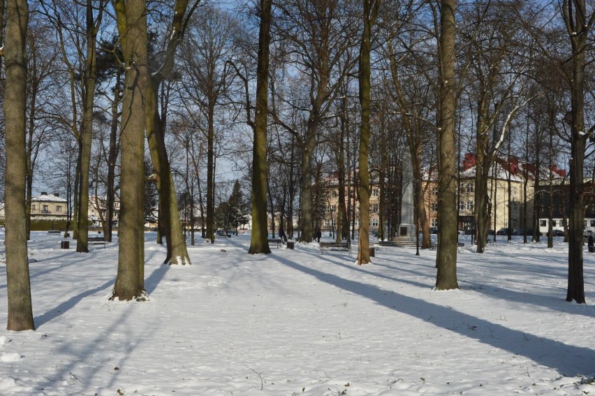 Prawdziwa zima w Janowie Lubelskim. Miasto całe w śniegu. Zobacz zdjęcia