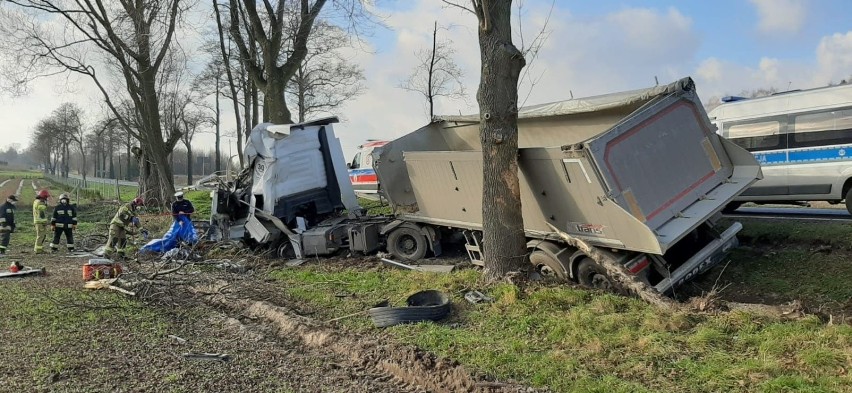 Śmiertelny wypadek w Zgierzu. Kierowca tira wypadł z kabiny i uderzył w drzewo ZDJĘCIA