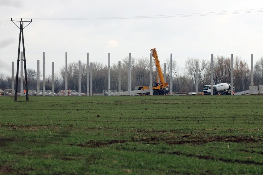 Budowa hali na byłym lotnisku w Legnicy [ZDJĘCIA]